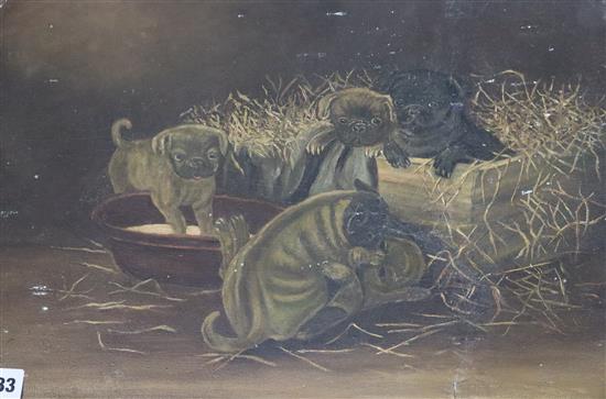 Late 19th century English School, oil on canvas laid on board, Study of Pug puppies in a basket, 31 x 46cm, unframed